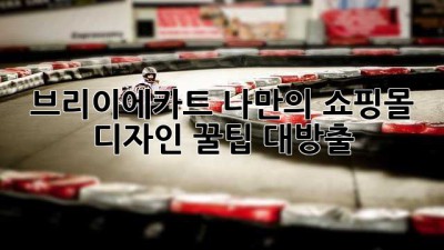브리이에카트🎨 나만의 쇼핑몰 디자인✨ 꿀팁 대방출!