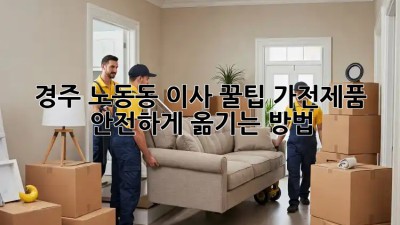 경주 노동동 이사 꿀팁🍯 가전제품 안전하게 옮기는 방법!